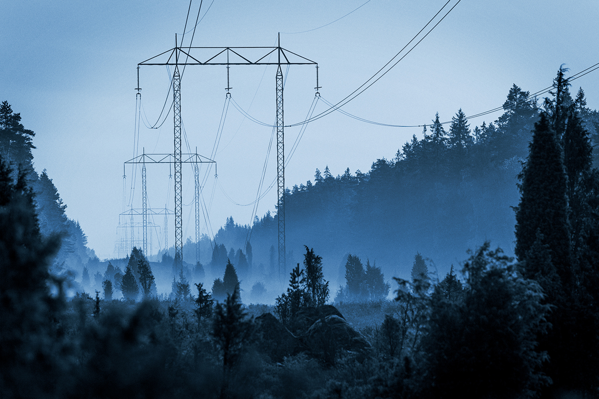 Power Networks